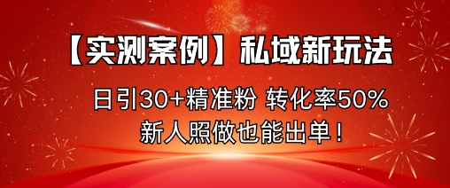 【实测案例】私域新玩法，日引30+精准粉，转化率50%，新人照做也能出单！-路子网