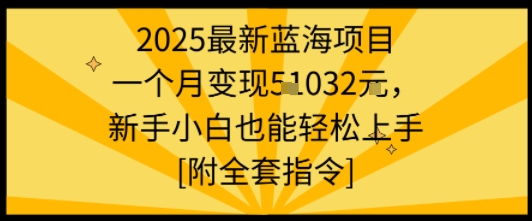 2025最新蓝海项目一个月变现1w+新手小白也能轻松上手【附全套指令】-路子网