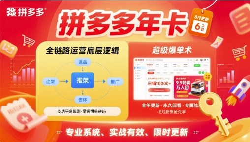 拼多多年卡【8月更新6节】拼多多全链路运营底层逻辑，超级爆单术-路子网