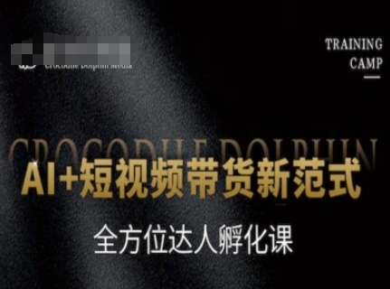 AI+短视频带货新范式，全方位达人孵化课-路子网