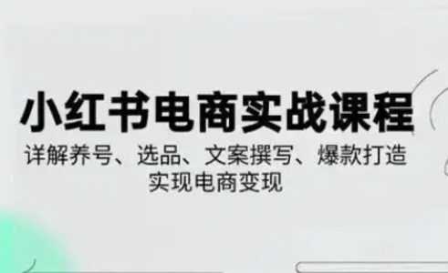 小红书从0-1实操课(2023-2025)，详解养号、选品、文案撰写、爆款打造实现电商变现-路子网