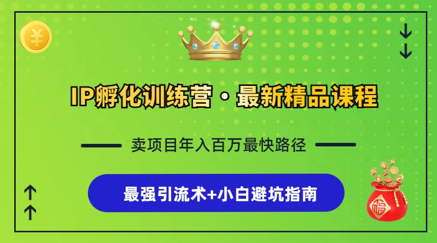 IP孵化训练营，知识付费全流程+最强引流术+小白避坑指南-路子网