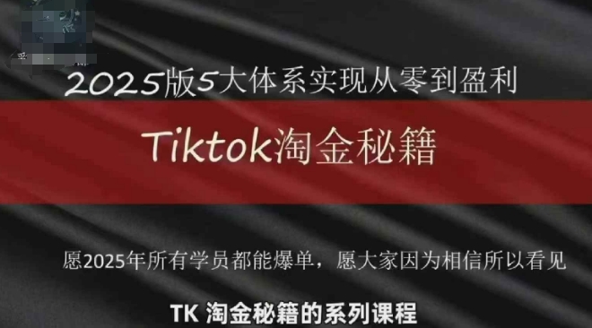 TikTok跨境2025淘金秘籍，​2025TikTok从0到盈利变现-路子网