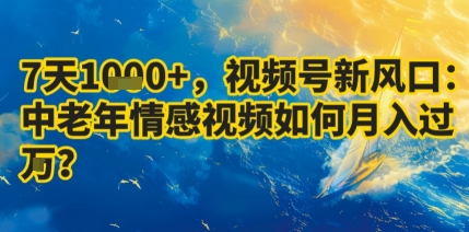7天收益1k+，视频号新风口：中老年情感视频如何月入过W?-路子网