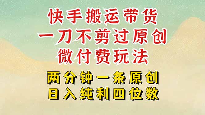 快手黑科技搬运带货，一刀不剪过原创，微付费投流玩法，轻松日入四位数…-路子网
