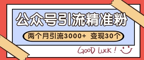 公众号精准粉引流玩法，2个月3000+精准粉，变现30个W【揭秘】-路子网