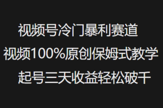视频号冷门暴利赛道视频100%原创保姆式教学起号三天收益轻松破千-路子网