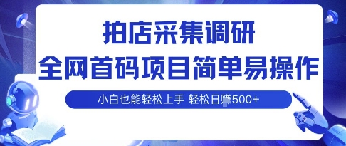 拍店采集调研，全网首码项目，简单易操作， 小白也能轻松上手，多账号操作，轻松日入5张【揭秘】-路子网