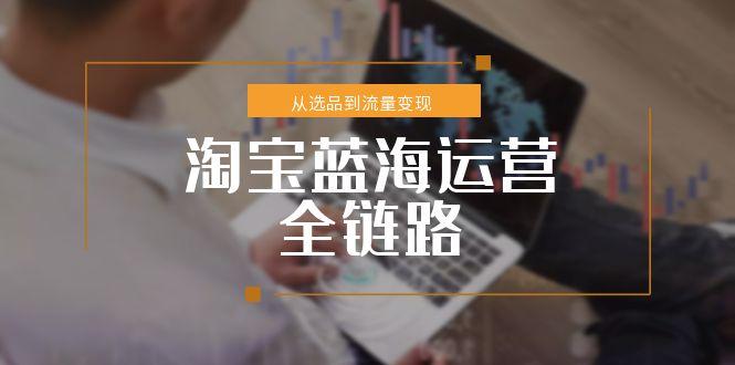 淘宝蓝海运营全链路，从选品到流量变现，小类目突围完整方案-路子网