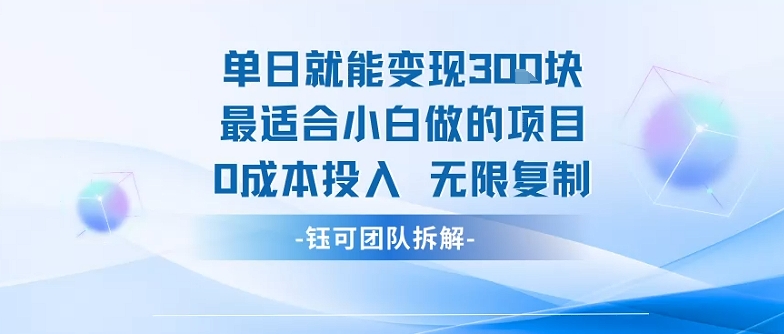 单日就能变现3张最适合小白做的项目0成本投入 无限复制-路子网