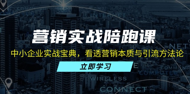 营销实战陪跑课：中小企业实战宝典，看透营销本质与引流方法论-路子网