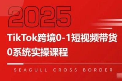 TikTok跨境0-1短视频带货，系统拆解TikTok跨境带货全链路，实现跨境可持续盈利-路子网