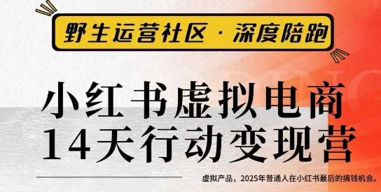 小红书虚拟电商14天变现训练营3.0，​虚拟产品，2025年普通人在小红书最后的搞钱机会-路子网