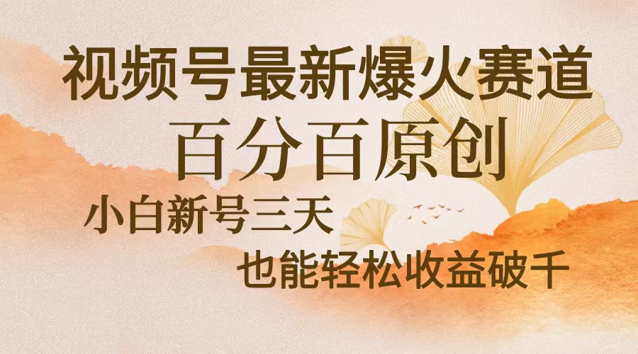 视频号最新爆火赛道，中老年粉深信不疑，百分百原创，新号三天收益轻松…-路子网