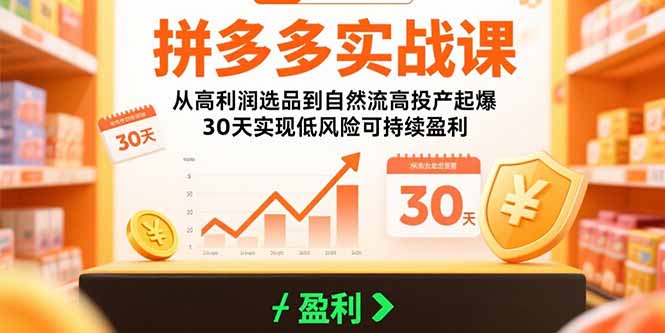 拼多多实战课：从高利润选品到自然流高投产起爆 30天实现低风险可持续盈利-路子网