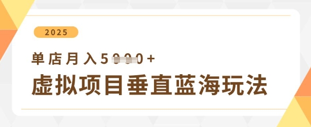 虚拟项目垂直玩法，实现单店月入5k+-路子网