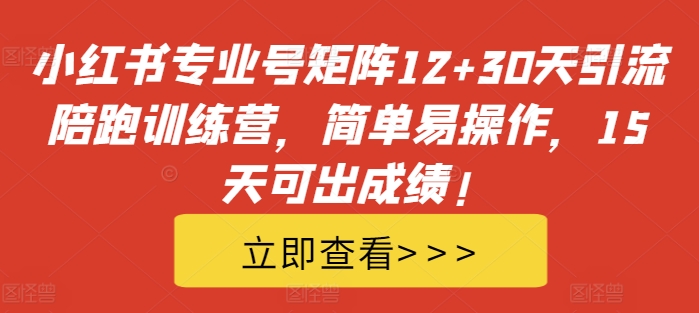 小红书专业号矩阵12+30天引流陪跑训练营，简单易操作，15天可出成绩!-路子网