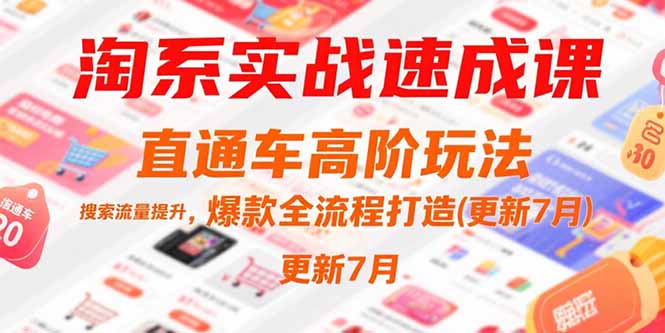 淘系实战速成课，直通车高阶玩法，搜索流量提升，爆款全流程打造(更新7月-路子网