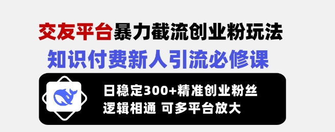 交友平台暴力截流创业粉玩法，知识付费新人引流必修课，日稳定300+精准创业粉丝，逻辑相通可多平台放大-路子网