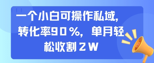 一个小白可操作私域，转化率90%，单月轻松收割2W-路子网