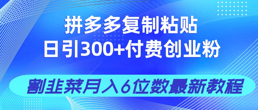 拼多多复制粘贴日引300+付费创业粉，割韭菜月入6位数最新教程！-路子网