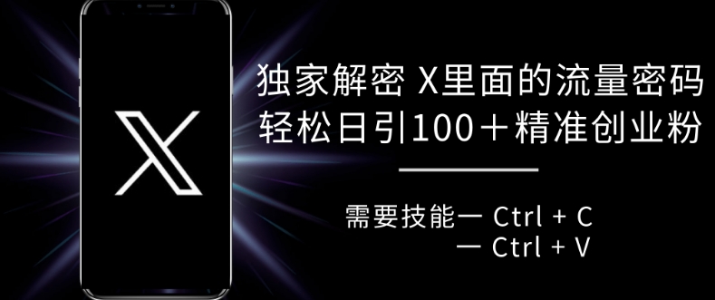 独家解密 X 里面的流量密码，复制粘贴轻松日引100+-路子网