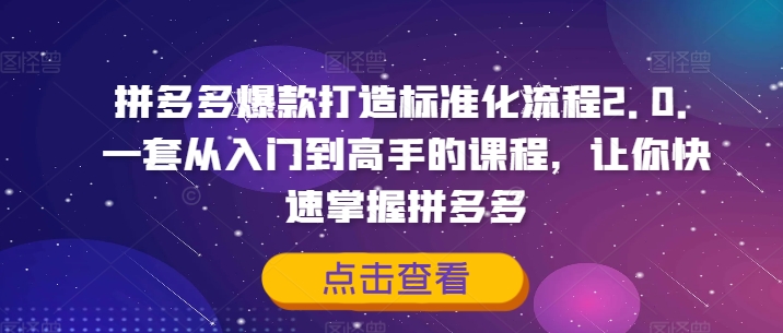 拼多多爆款打造标准化流程2.0，一套从入门到高手的课程，让你快速掌握拼多多-路子网