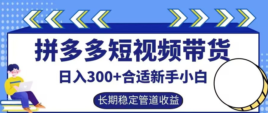 拼多多短视频带货日入300+有长期稳定被动收益，合适新手小白【揭秘】-路子网