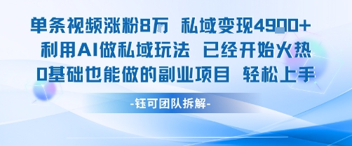 单条视频私域变现4.9k+利用AI做私域玩法 已经开始火热0基础也能做的副业项目轻松上手-路子网