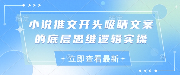 小说推文开头吸睛文案的底层思维逻辑实操-路子网