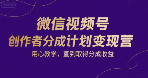 微信视频号创作者分成计划变现营，用心教学，直到取得分成收益-路子网