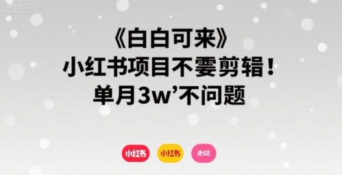 小白可来 小红书项目不需要剪辑 单月3w不是问题-路子网