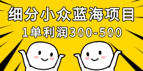 细分小众蓝海项目，一单利润3张，每月收入稳定过1w+-路子网