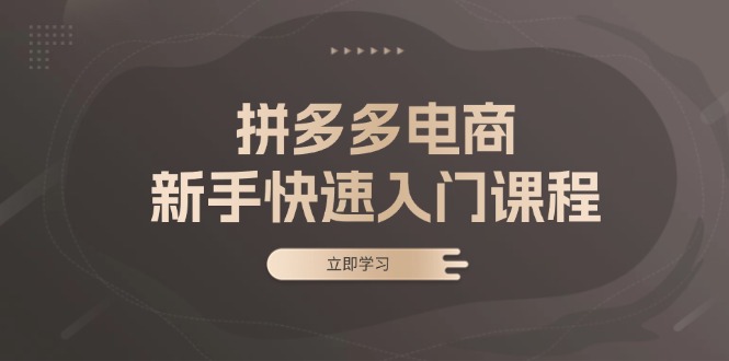 拼多多电商新手快速入门课程：涵盖基础、实战与选款，助力小白轻松上手-路子网