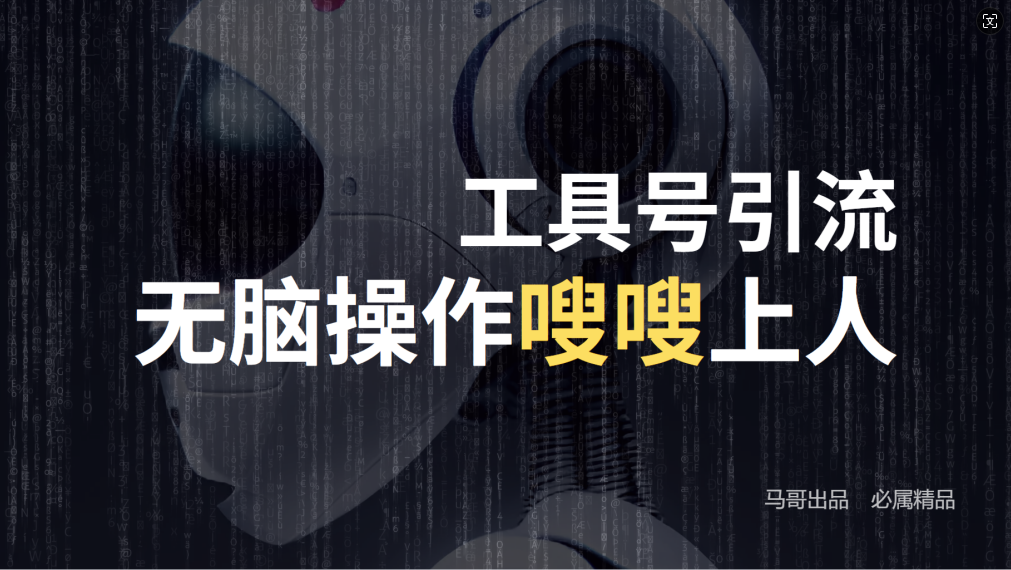 24年抖音最新工具号日引流300+创业粉，日入5000+-路子网