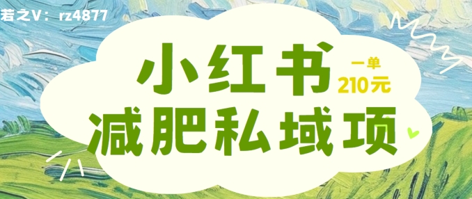 小红书减肥粉，私域变现项目，一单就达210元，小白也能轻松上手【揭秘】-路子网
