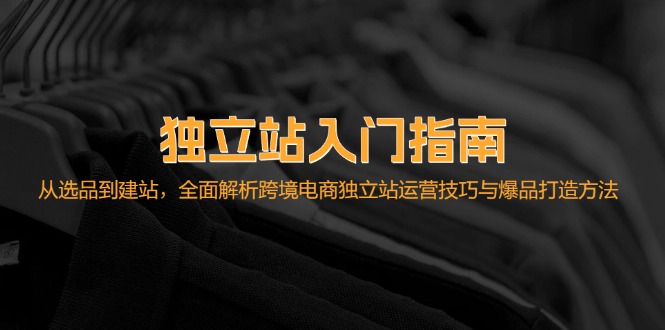 独立站入门指南：从选品到建站，全面解析跨境电商独立站运营技巧与爆品…-路子网