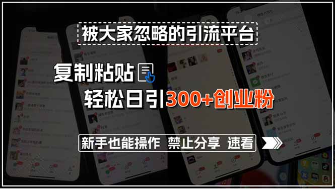 被大家忽略的引流平台，复制粘贴轻松日引300+创业粉，新手也能操作，禁…-路子网