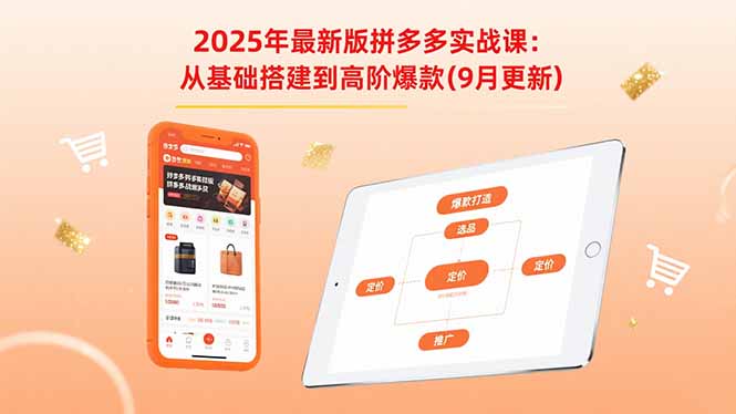 2025年最新版拼多多实战课：从基础搭建到高阶爆款(9月更新-路子网