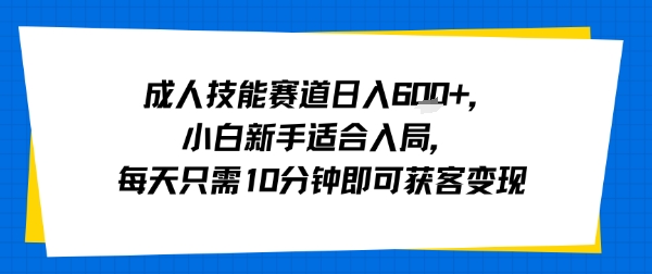 成人技能赛道日入多张，小白新手适合入局，每天只需10分钟即可获客变现-路子网