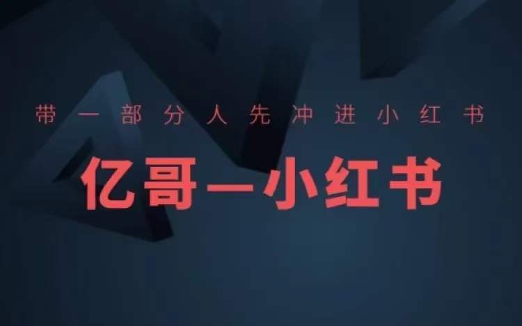 ​​带一部分人先冲进小红书，小红书开店、选品、爆款裂变-路子网