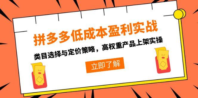 拼多多低成本盈利实战，类目选择与定价策略，高权重产品上架实操-路子网