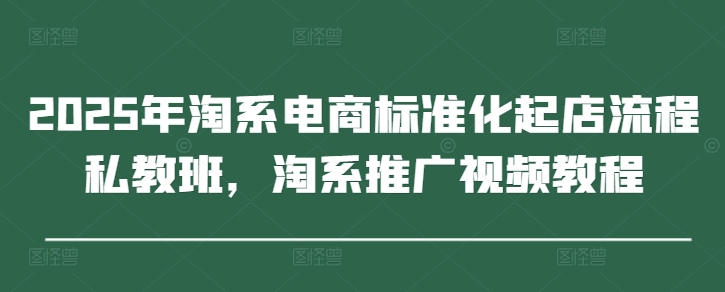 2025年淘系电商标准化起店流程私教班，淘系推广视频教程-路子网