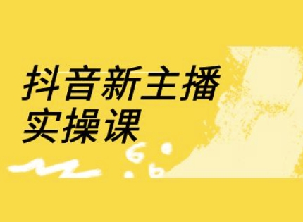 抖音新主播实操课，直播间流量运营线上实操课(18节)-路子网