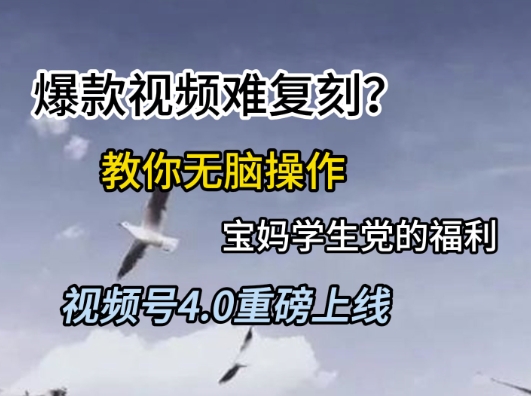 视频号4.0重磅上线，爆款视频难复刻？教你无脑操作宝妈学生党的福利【揭秘】-路子网