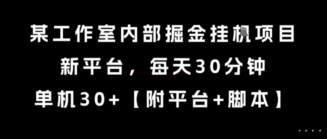 某工作室内部掘金挂G项目，新平台，每天30分钟，单机30+【揭秘】-路子网