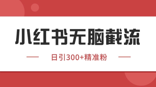 小红书只要你有同行就能获客，独家野路子获客玩法，暴力截流【揭秘】-路子网