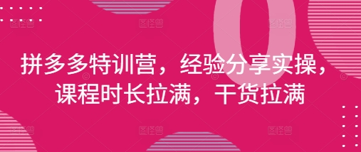 拼多多特训营，经验分享实操，课程时长拉满，干货拉满(更新25年4月)-路子网