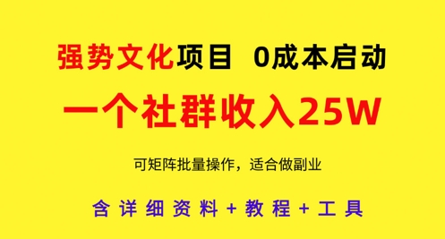 强势文化项目，一个社群收入25个W，0成本启动，可矩阵批量操作，原创详细实操教程-路子网