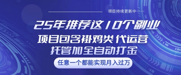 25年推荐这10个副业项目包含褂鸡类、代运营托管类、全自动打金类【揭秘】-路子网